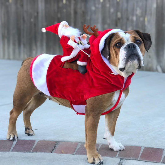 Pet Dog Christmas Costume Santa Claus Riding Costume Christmas Pet Clothes Riding Deer Costume Pet Christmas Products