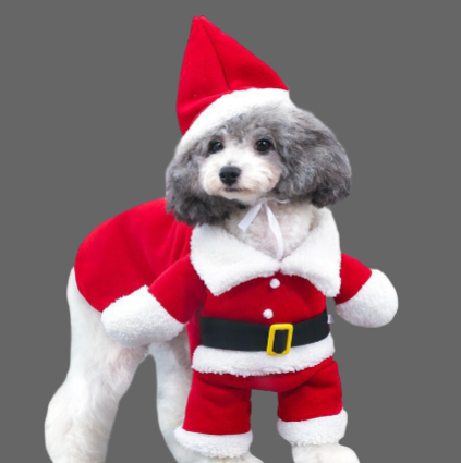 Christmas Pet Fancy Dress - Seasonal/Christmas Products