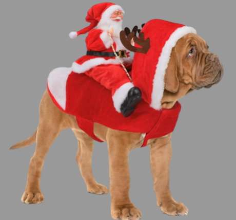 Christmas Pet Santa Costume - Seasonal/Christmas Products